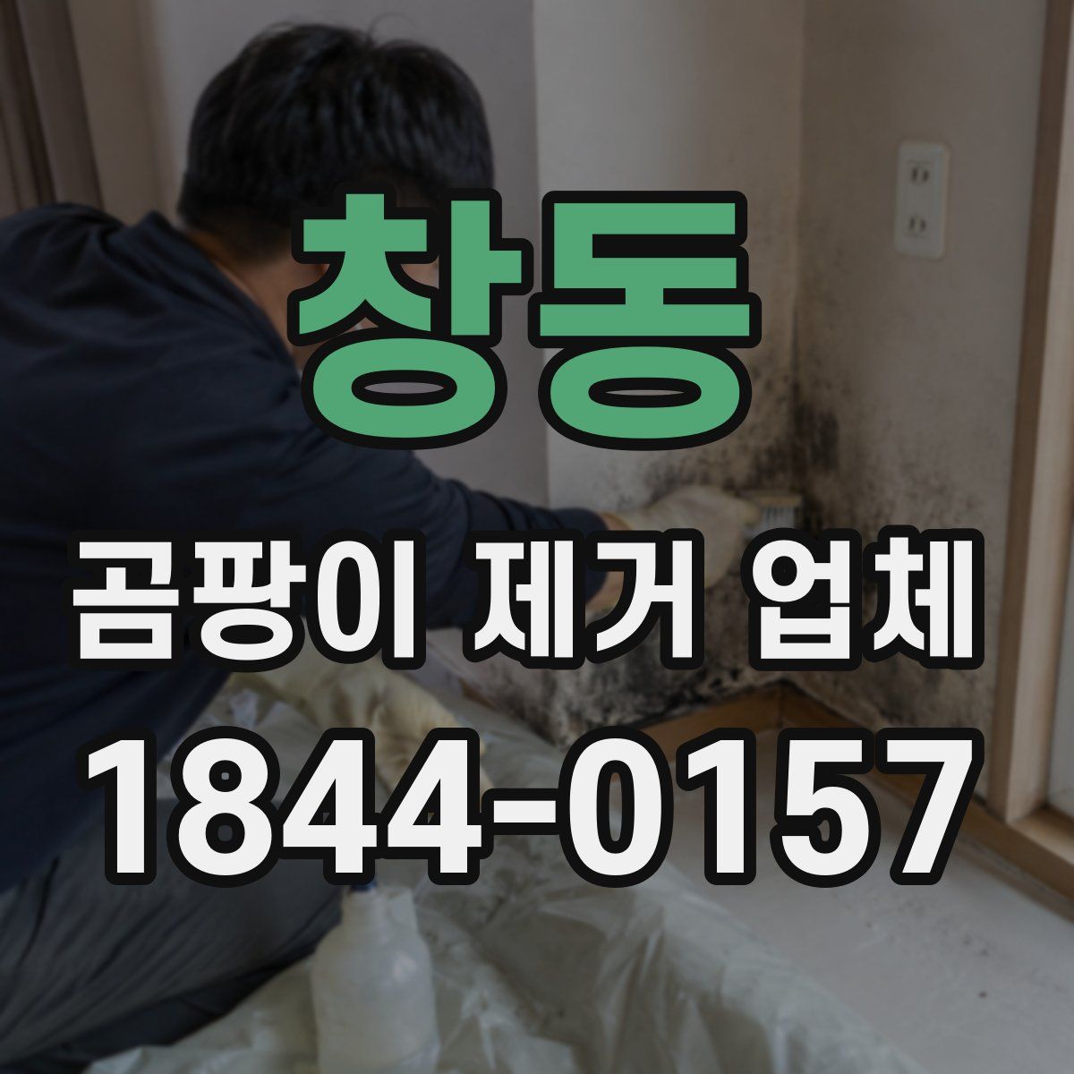 창동 곰팡이 제거 업체