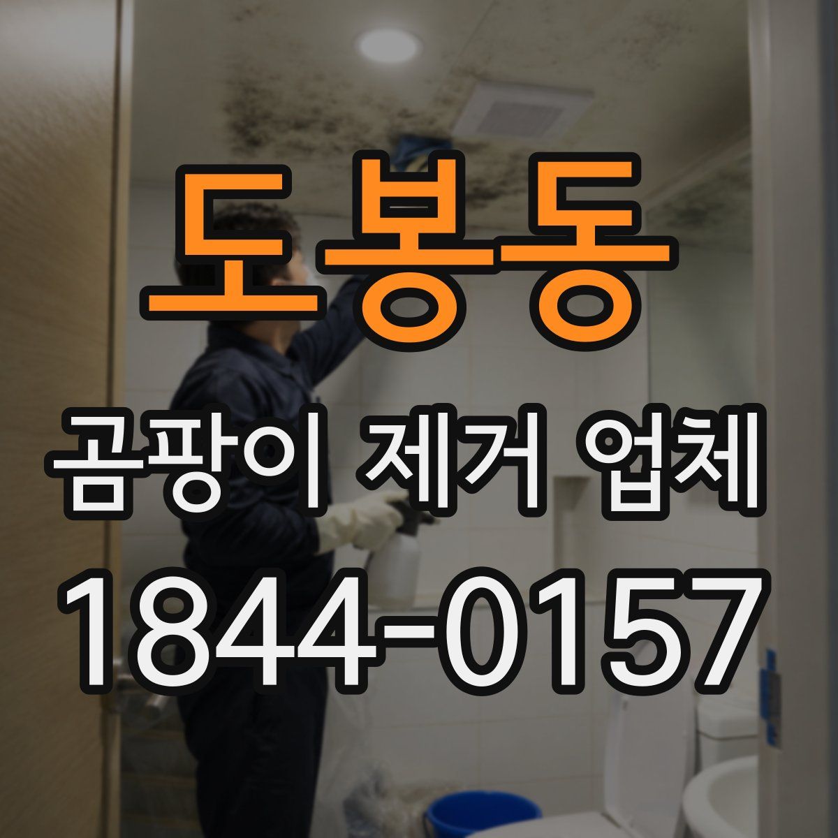 도봉동 곰팡이 제거 업체