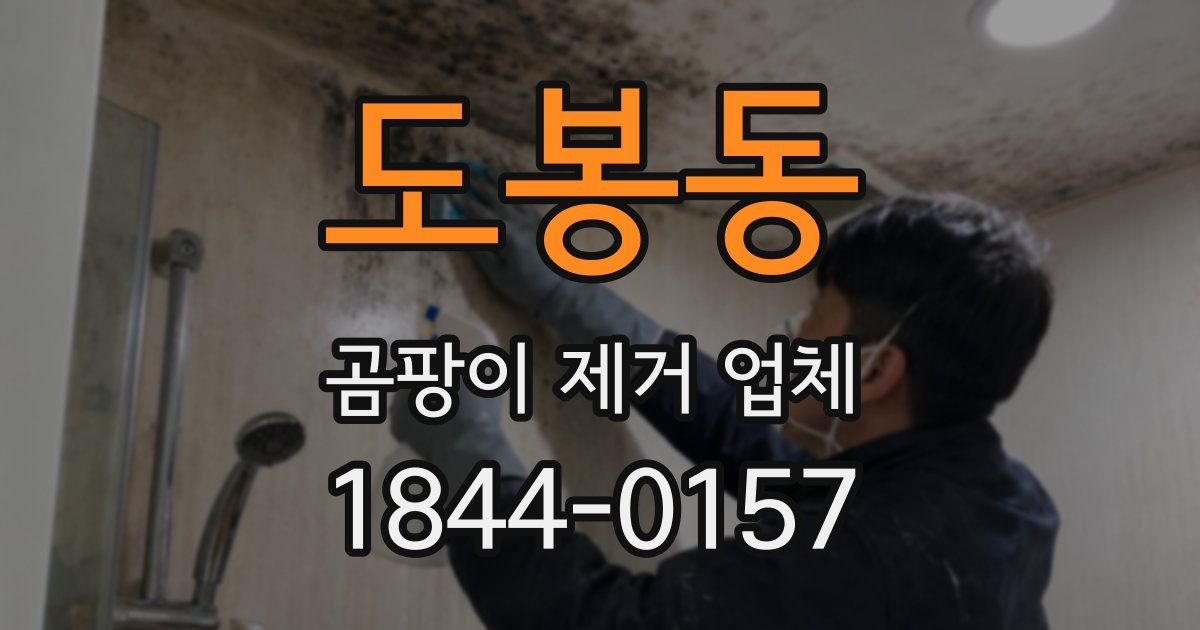 도봉동 곰팡이 제거 업체