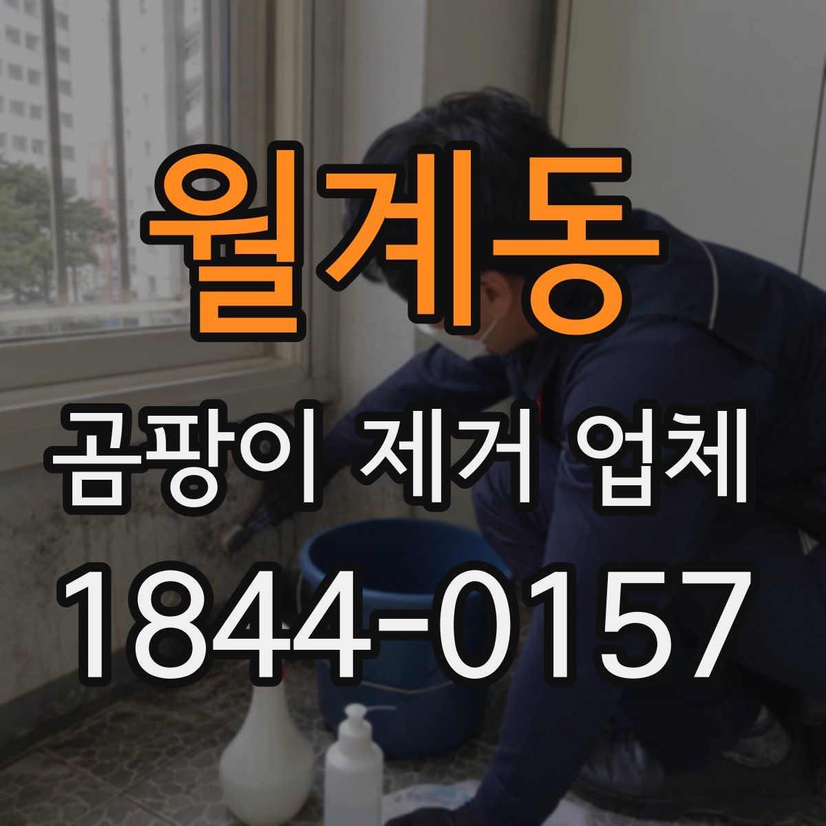 월계동 곰팡이 제거 업체