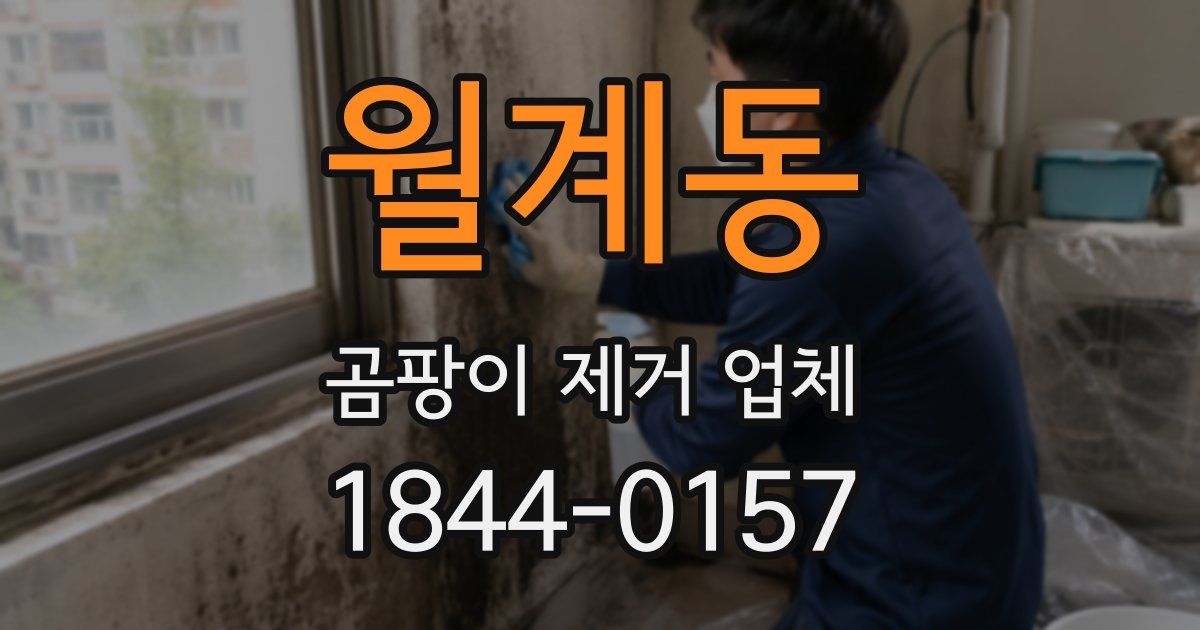 월계동 곰팡이 제거 업체