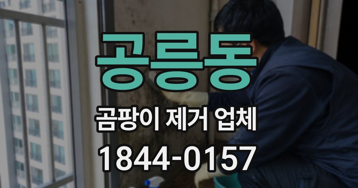 공릉동 곰팡이 제거 업체