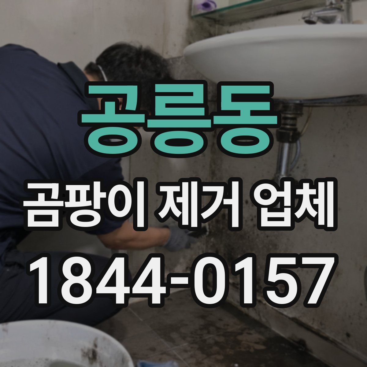 공릉동 곰팡이 제거 업체