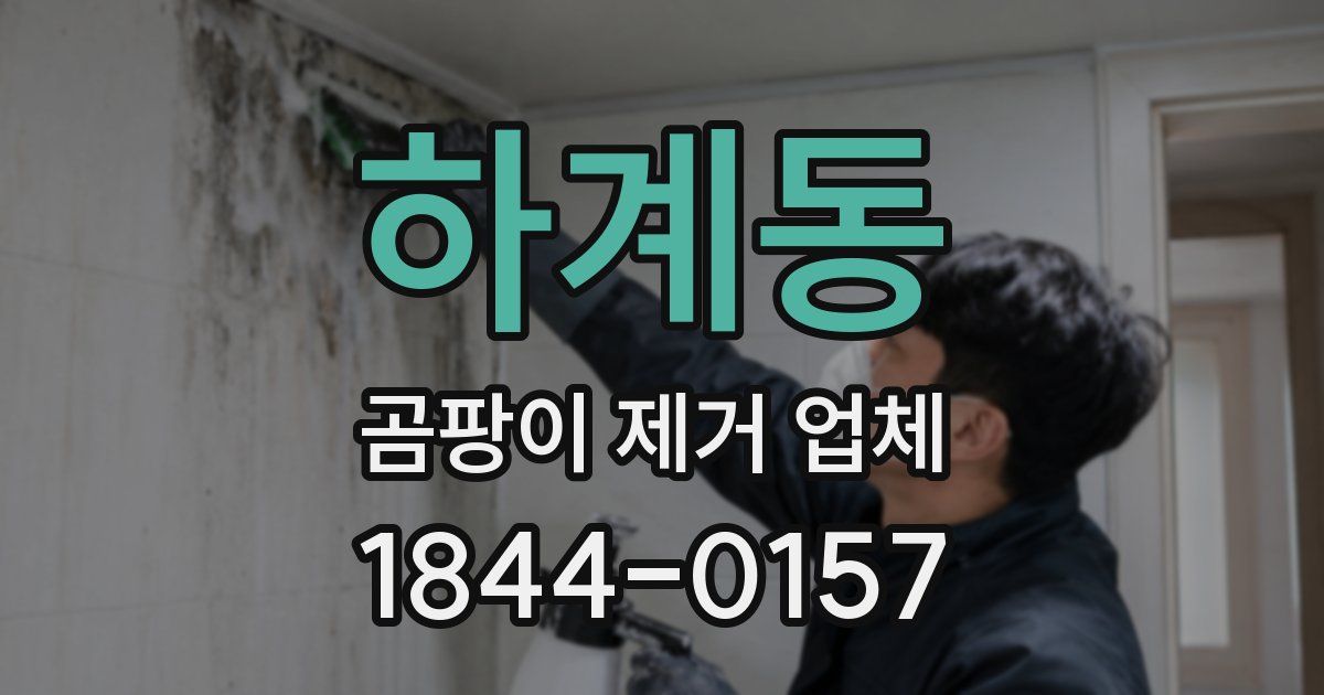 하계동 곰팡이 제거 업체