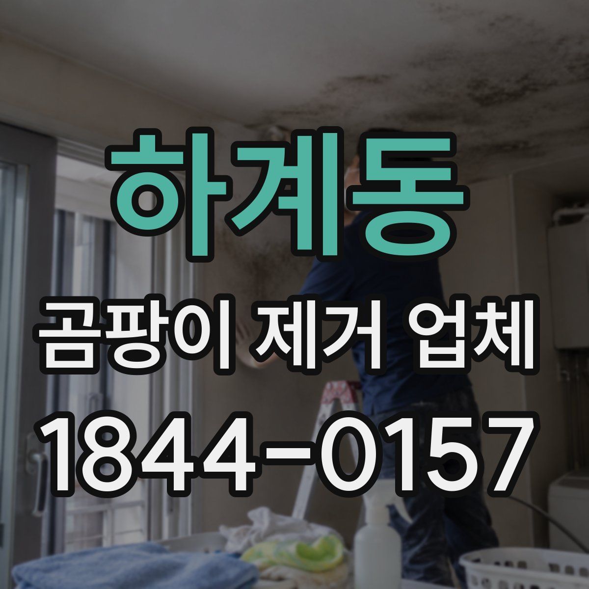하계동 곰팡이 제거 업체