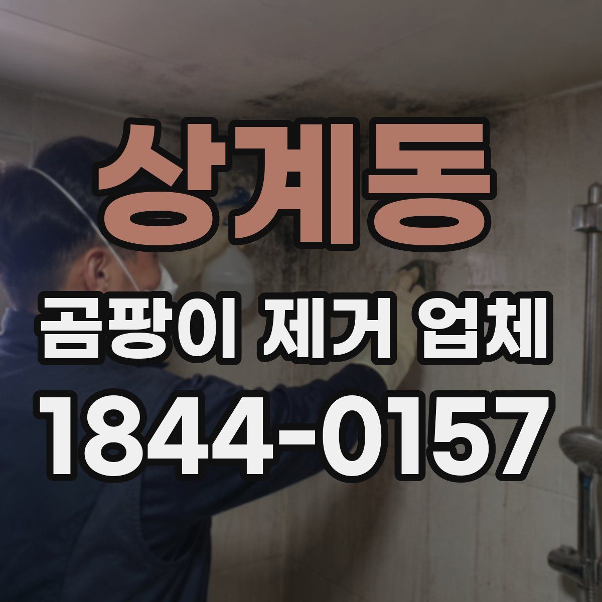 상계동 곰팡이 제거 업체