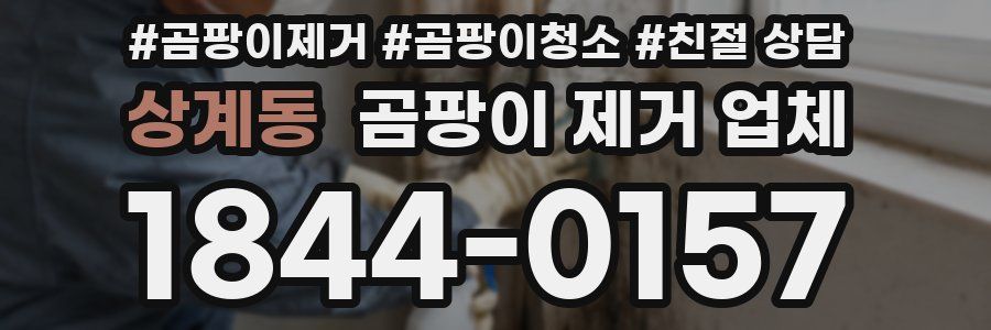 상계동 곰팡이 제거 업체
