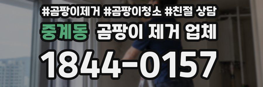 중계동 곰팡이 제거 업체