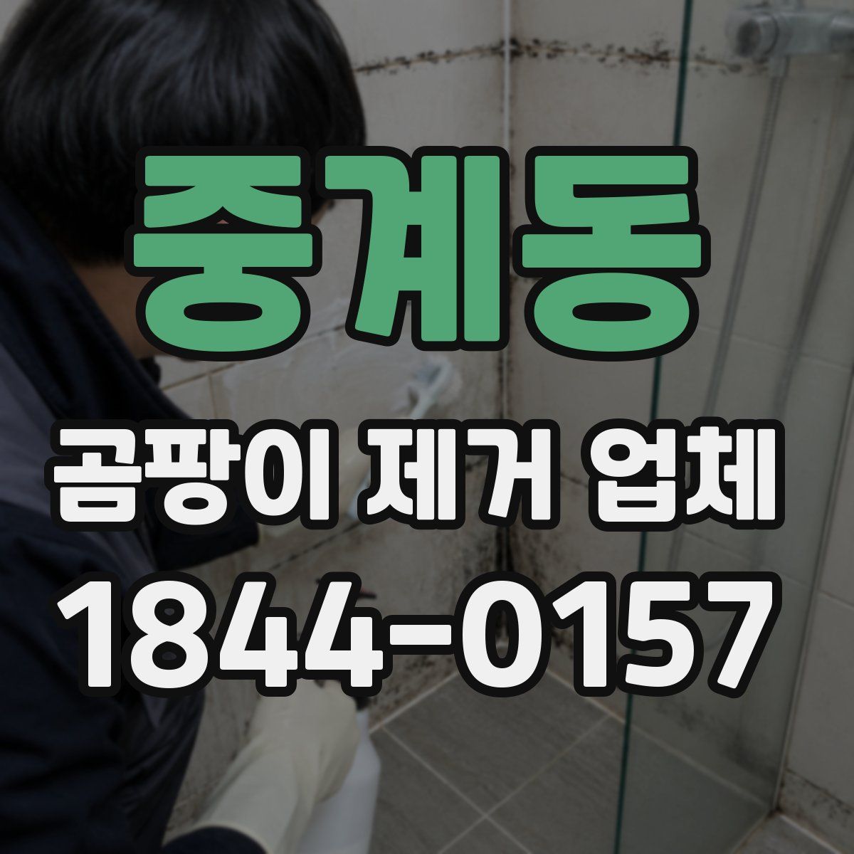 중계동 곰팡이 제거 업체