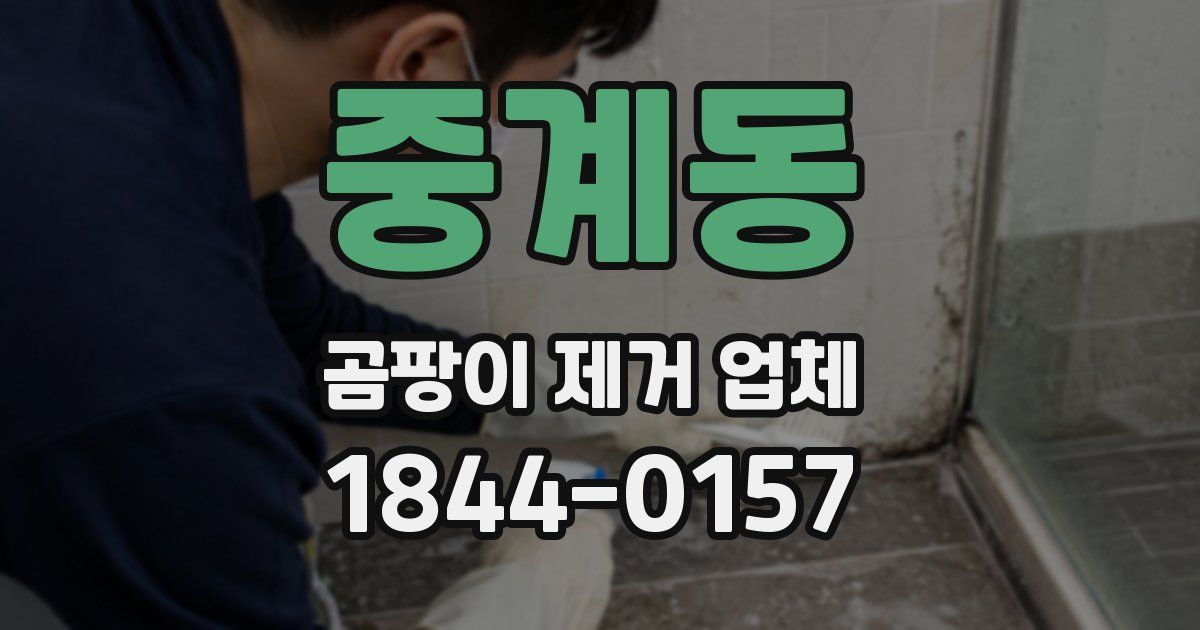 중계동 곰팡이 제거 업체