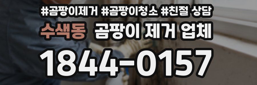 수색동 곰팡이 제거 업체