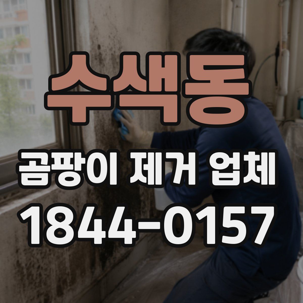 수색동 곰팡이 제거 업체