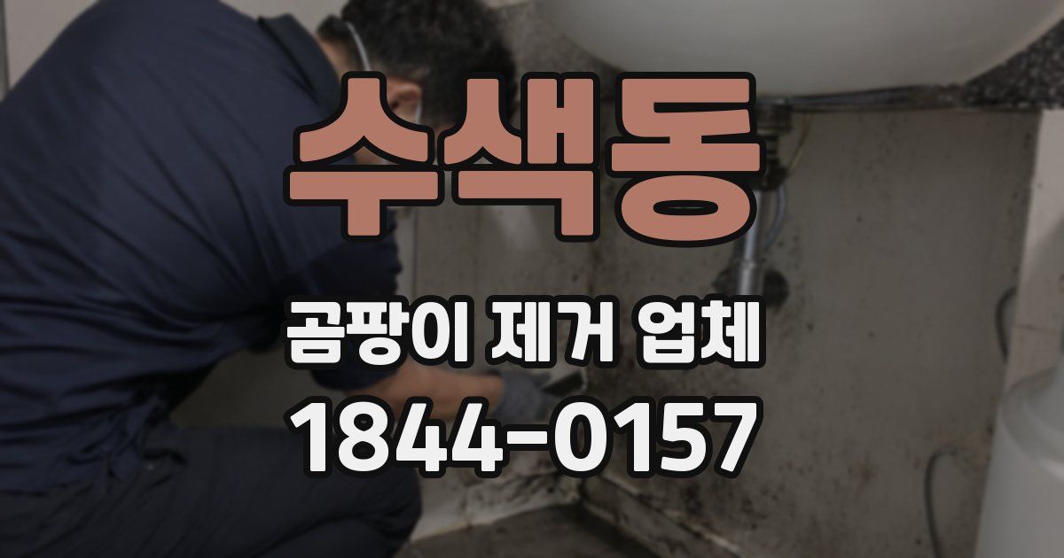 수색동 곰팡이 제거 업체