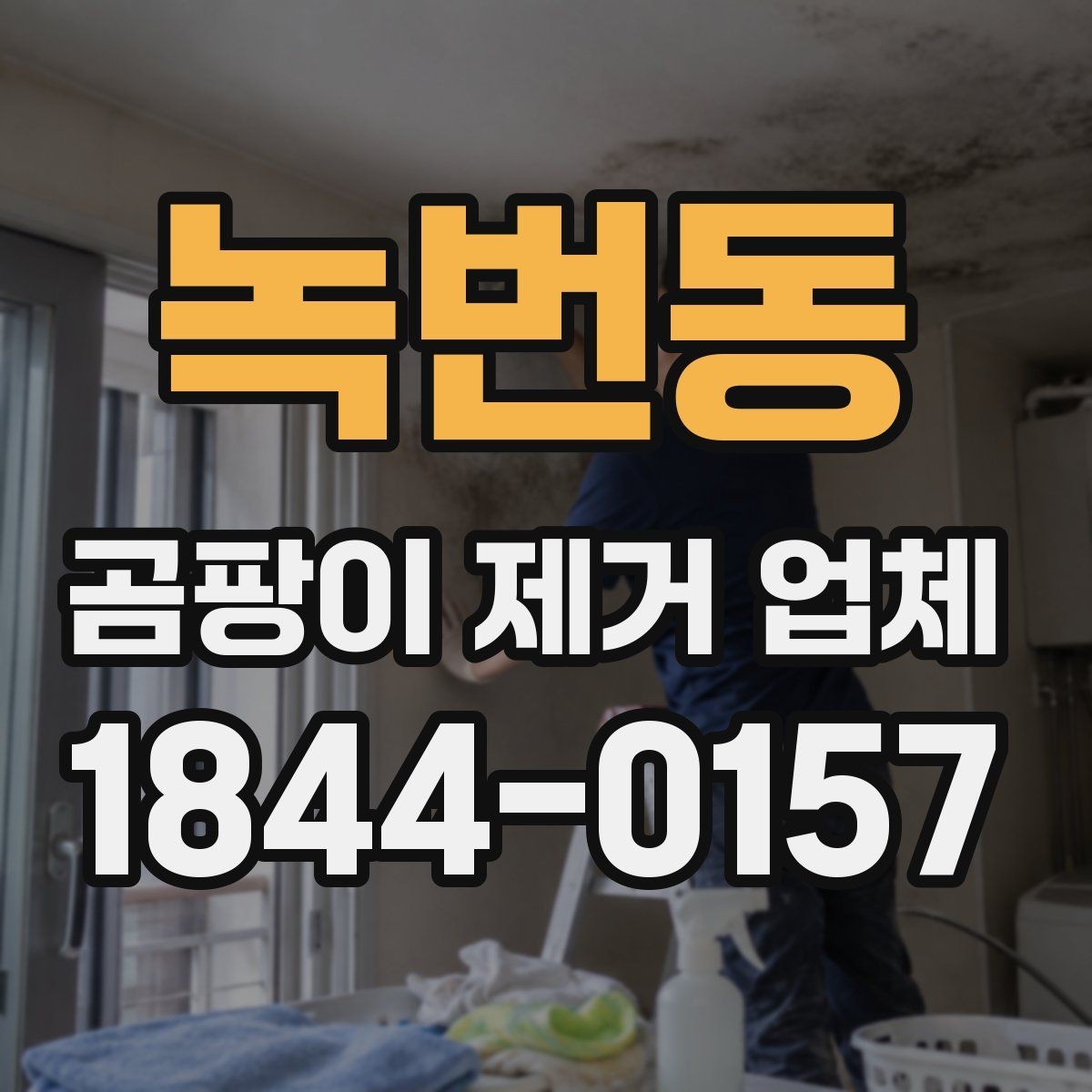 녹번동 곰팡이 제거 업체 문의 전에 정리하면 좋은 정보