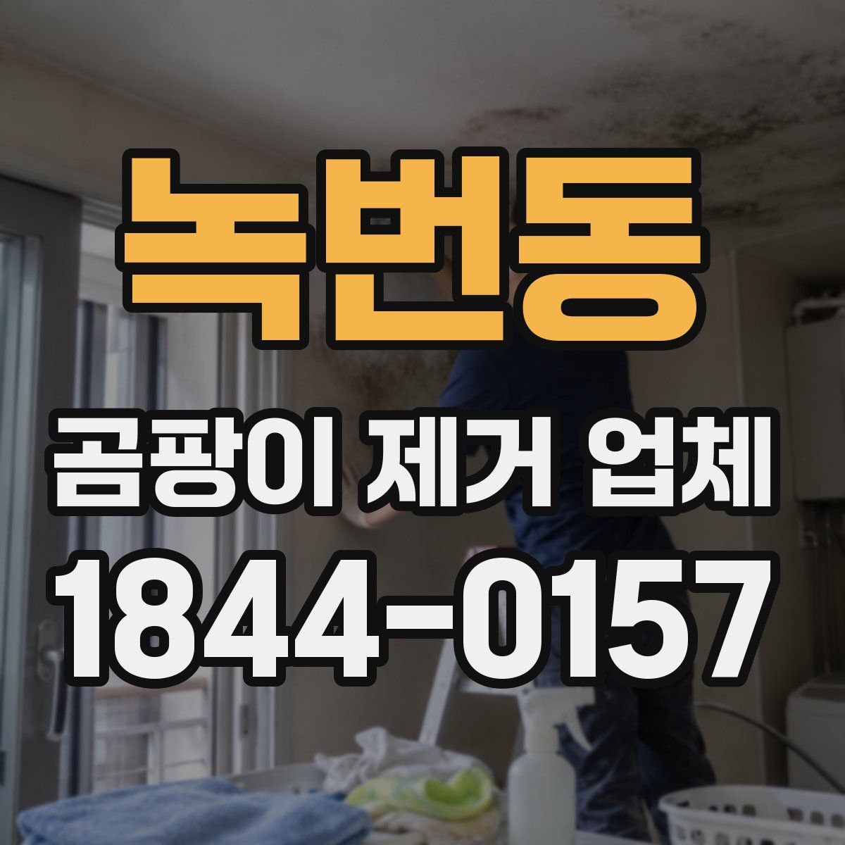 녹번동 곰팡이 제거 업체