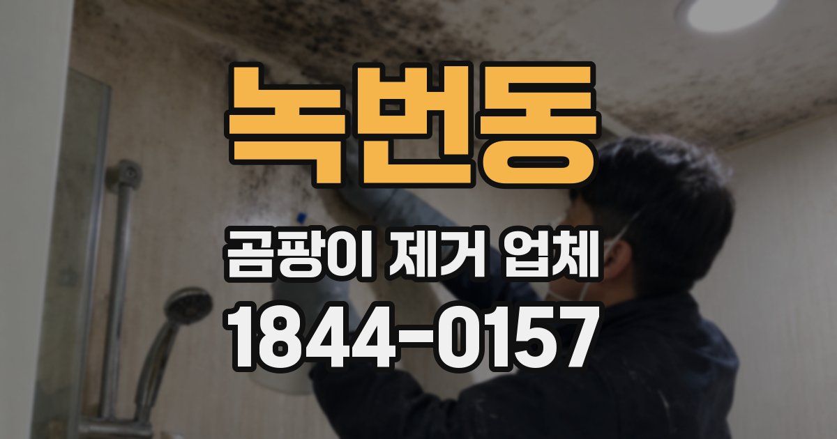 녹번동 곰팡이 제거 업체