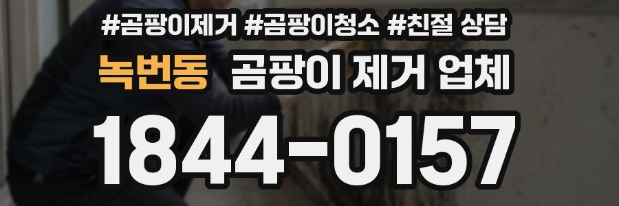 녹번동 곰팡이 제거 업체