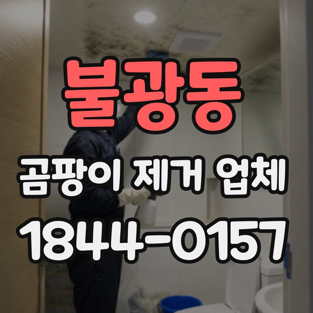 불광동 곰팡이 제거 업체