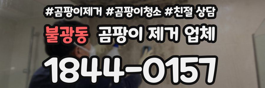 불광동 곰팡이 제거 업체