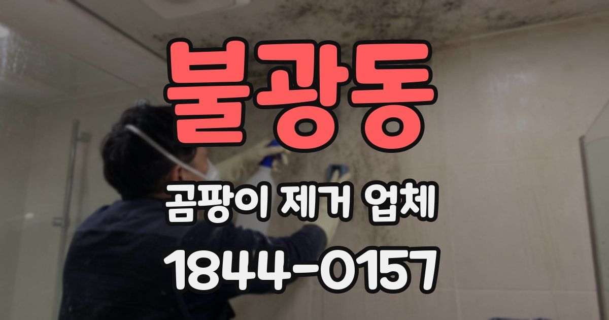 불광동 곰팡이 제거 업체