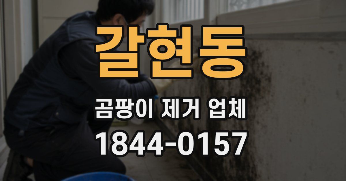 갈현동 곰팡이 제거 업체