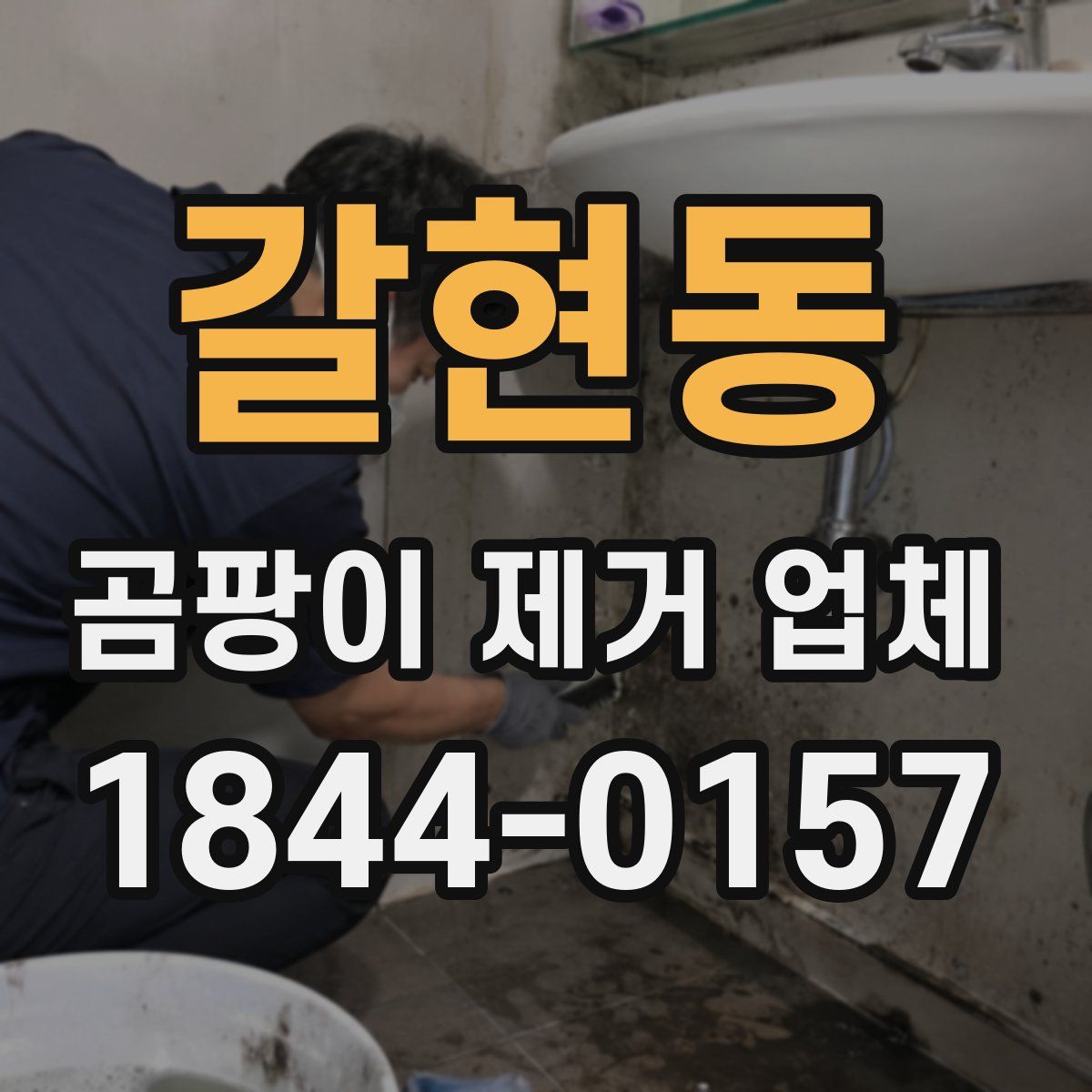 갈현동 곰팡이 제거 업체
