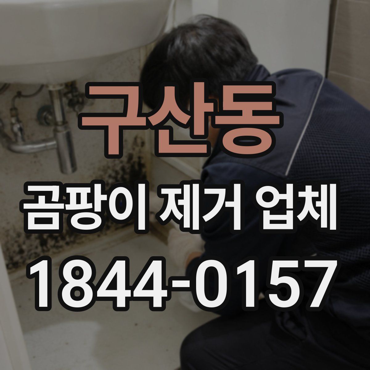 구산동 곰팡이 제거 업체