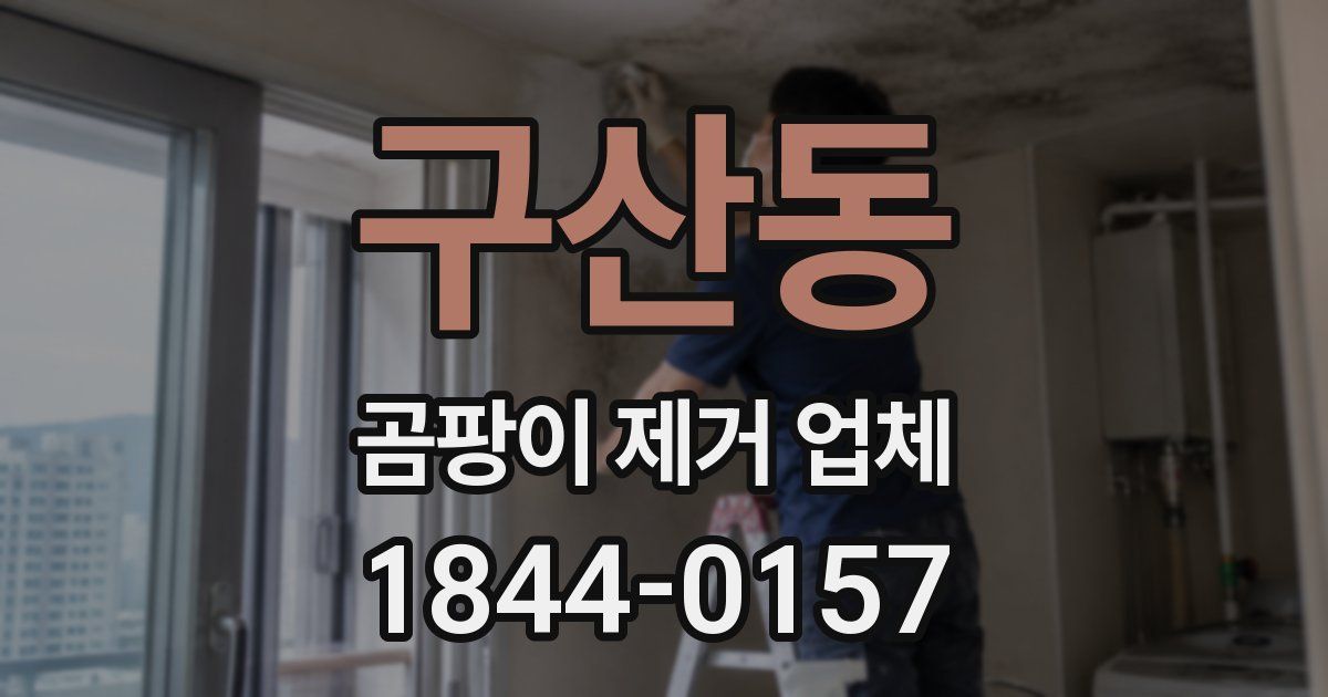 구산동 곰팡이 제거 업체