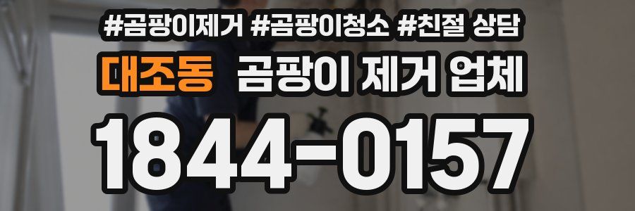 대조동 곰팡이 제거 업체