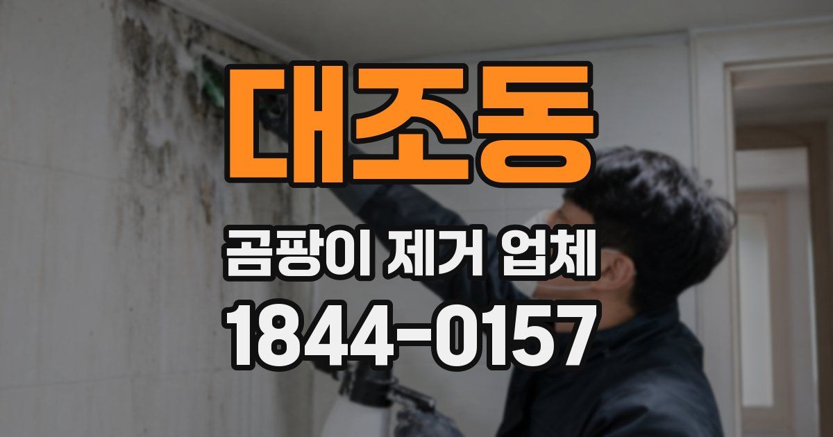 대조동 곰팡이 제거 업체
