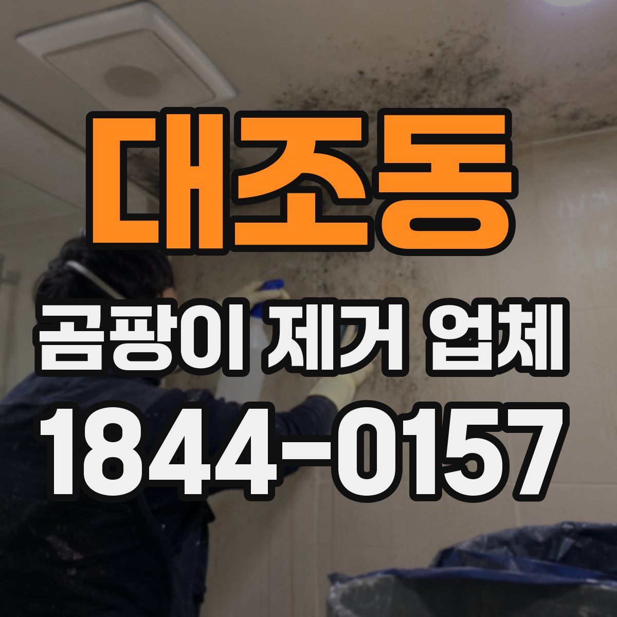 대조동 곰팡이 제거 업체