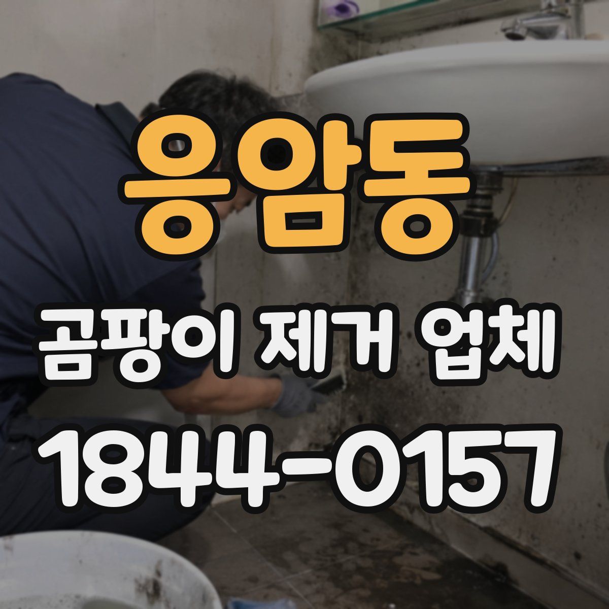 응암동 곰팡이 제거 업체