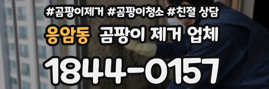 응암동 곰팡이 제거 업체