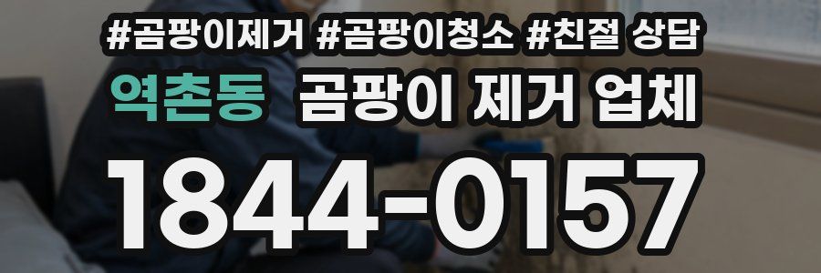 역촌동 곰팡이 제거 업체