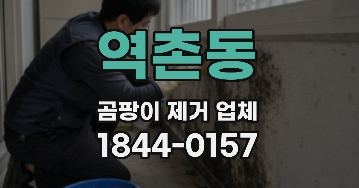 역촌동 곰팡이 제거 업체