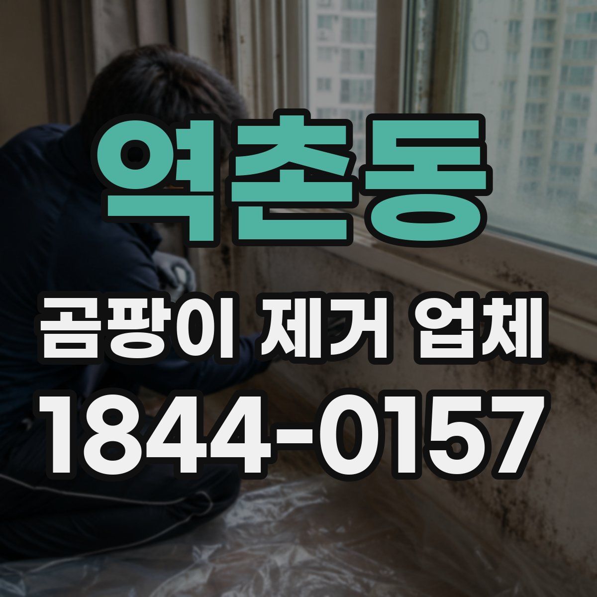 역촌동 곰팡이 제거 업체