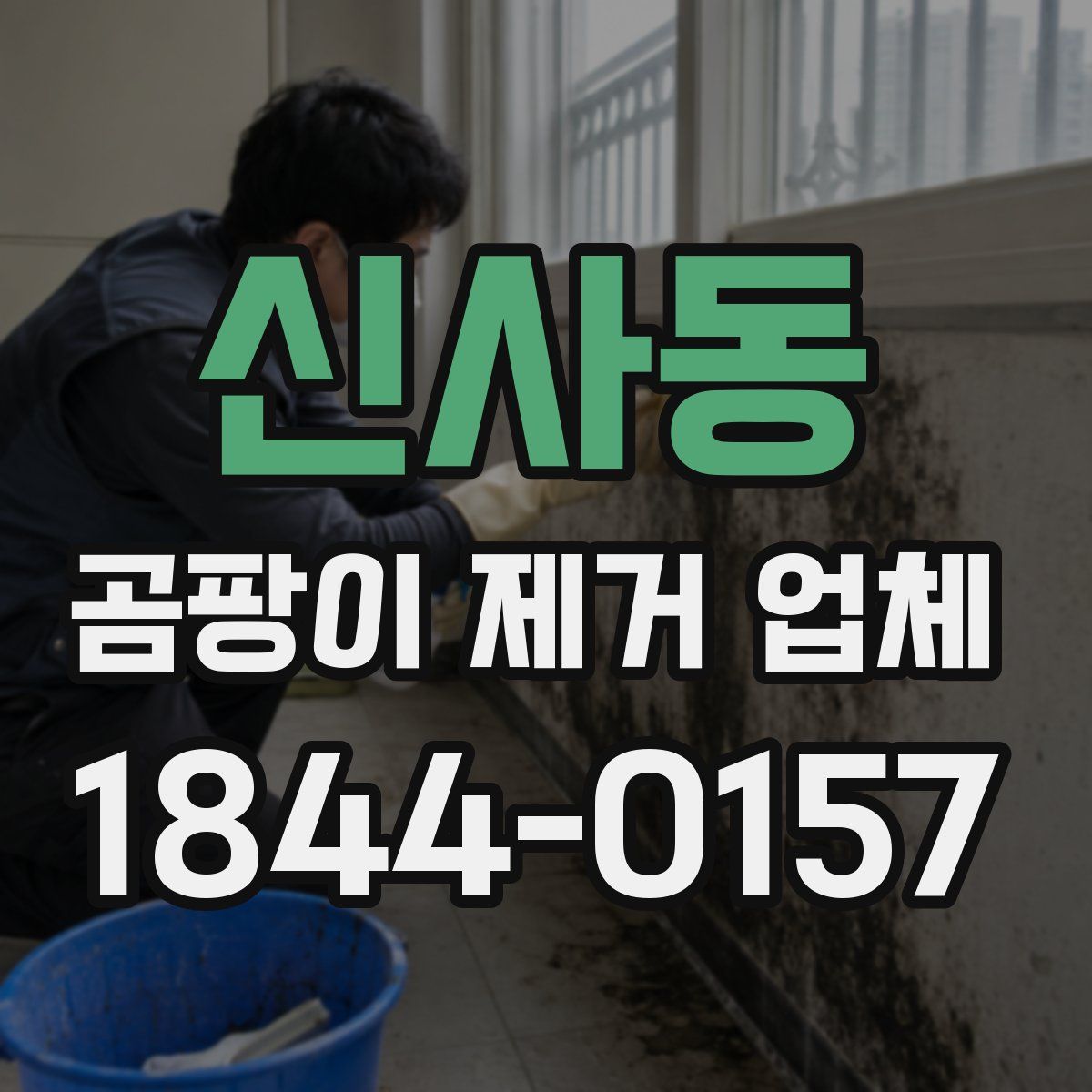 신사동 곰팡이 제거 업체