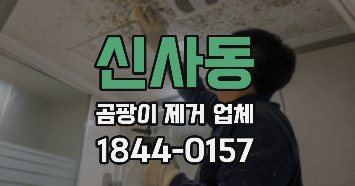 신사동 곰팡이 제거 업체