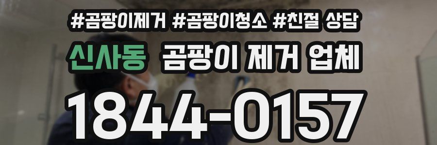 신사동 곰팡이 제거 업체