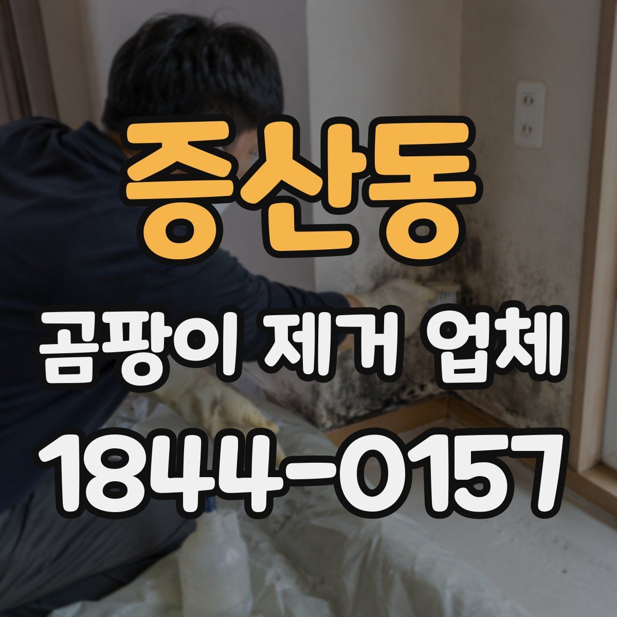증산동 곰팡이 제거 업체