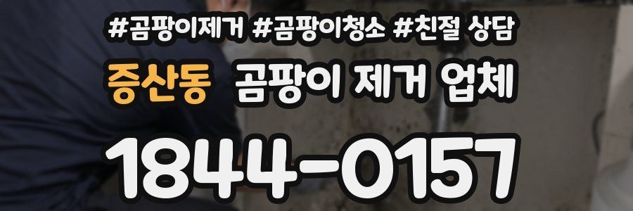 증산동 곰팡이 제거 업체