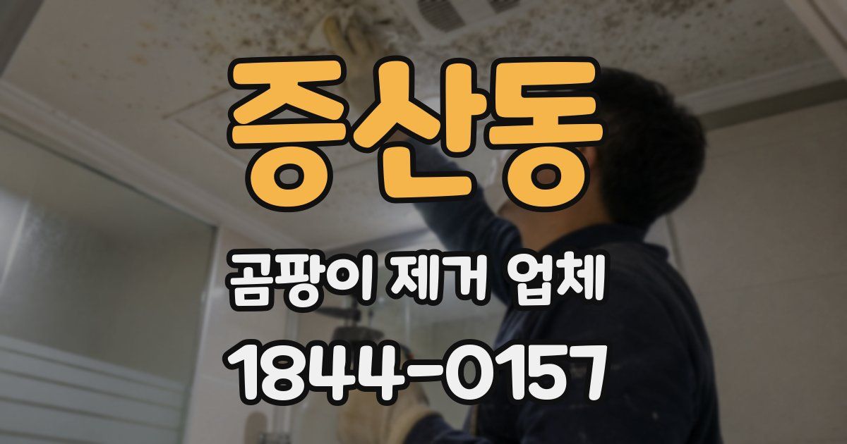 증산동 곰팡이 제거 업체