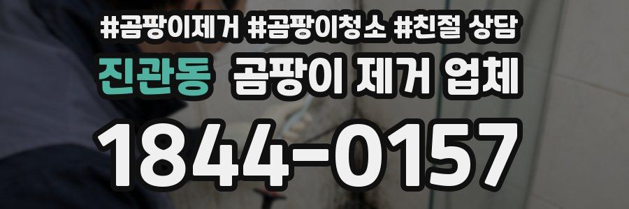 진관동 곰팡이 제거 업체