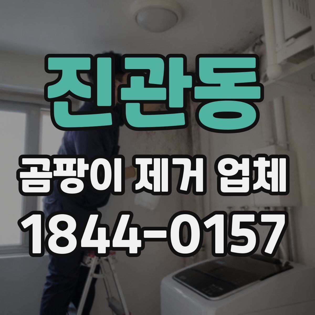 진관동 곰팡이 제거 업체