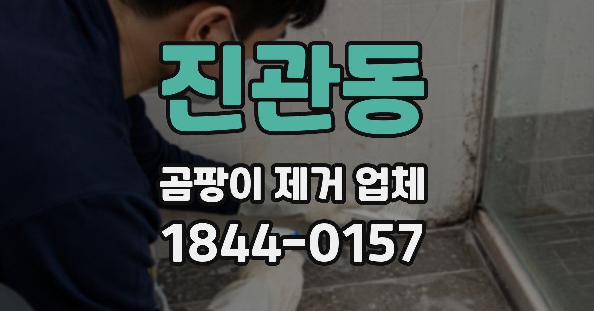 진관동 곰팡이 제거 업체