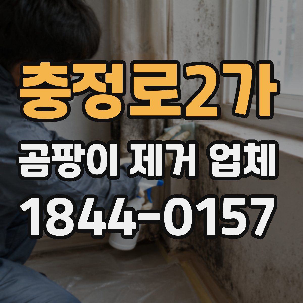 충정로2가 곰팡이 제거 업체