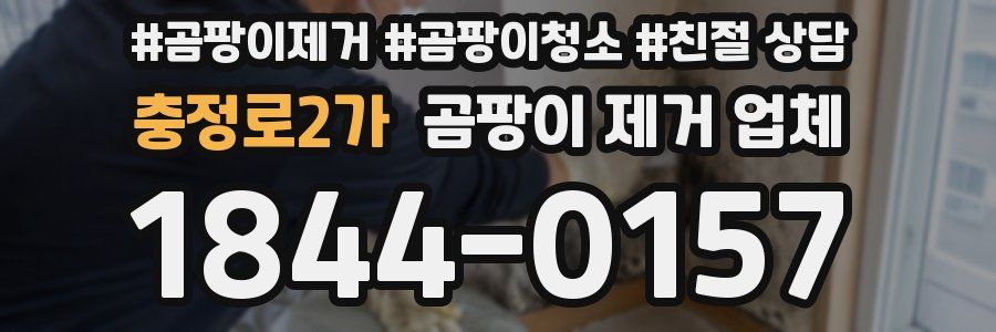 충정로2가 곰팡이 제거 업체