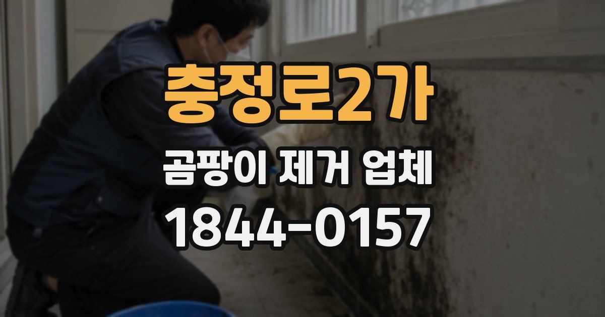 충정로2가 곰팡이 제거 업체
