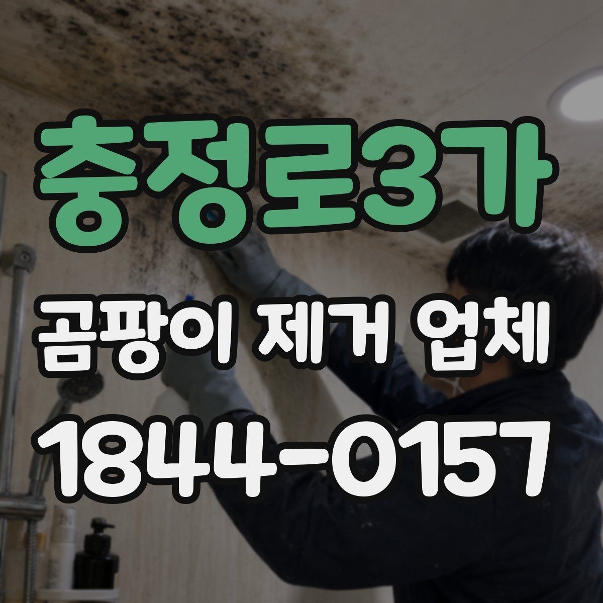 충정로3가 곰팡이 제거 업체 작업 후 관리가 중요한 이유
