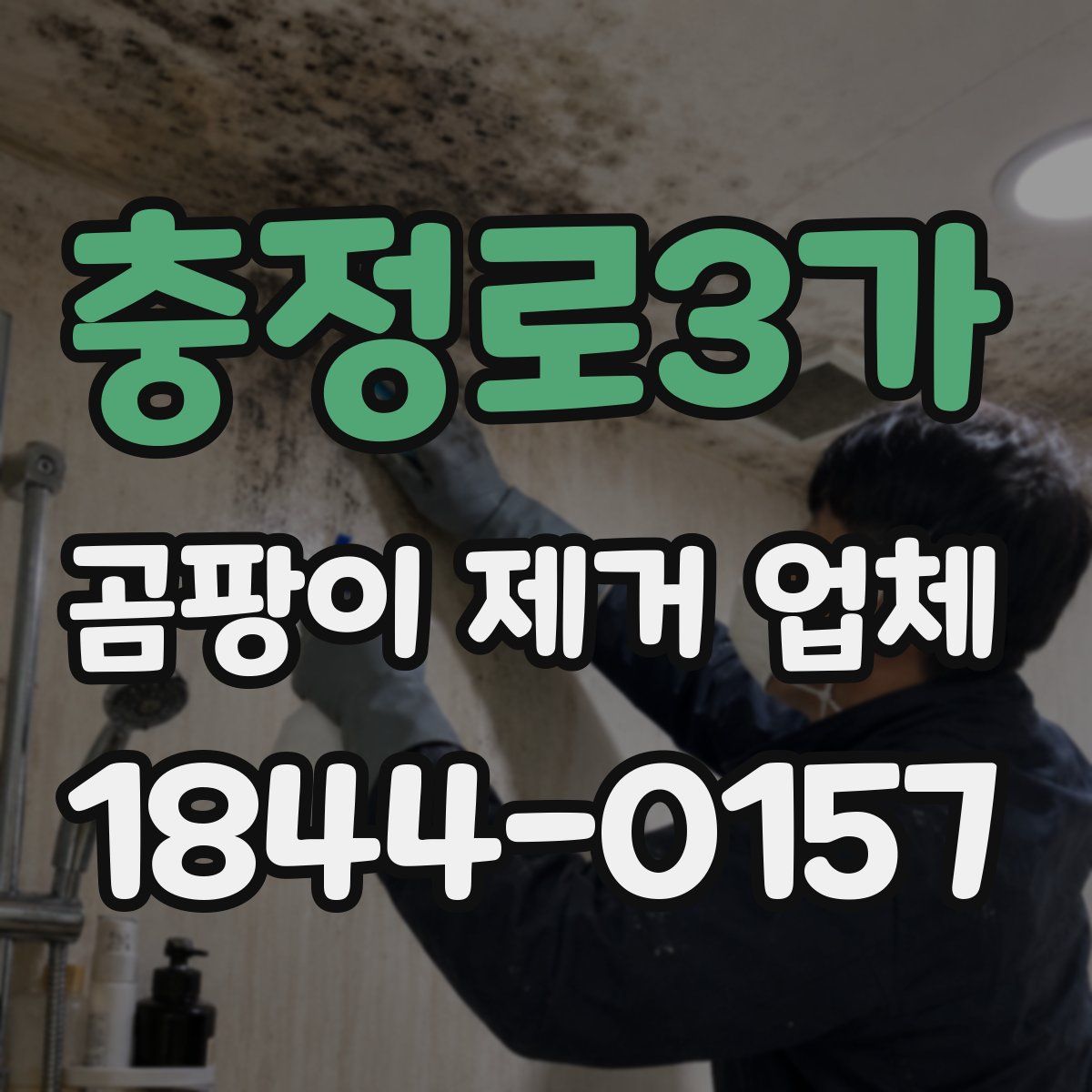 충정로3가 곰팡이 제거 업체